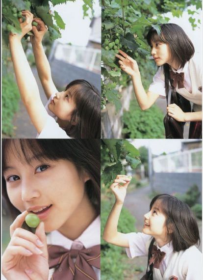 国产拼装积木品牌_1080P在线视频观看
