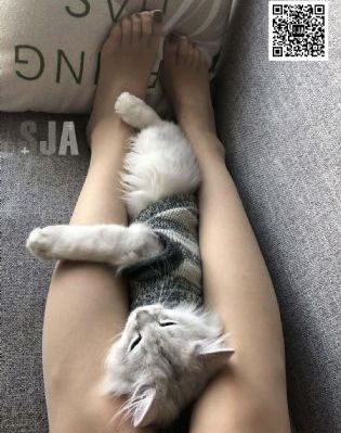 综合无码色视频_完整无删减版