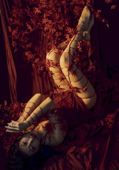 欧美艳星sex视频_乱人伦精品视频在线观看