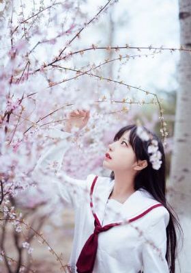 919精品国产免费久久_免费完整版高清